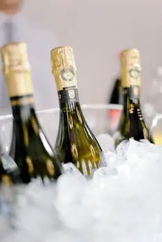 Bottles of sparkling wine placed in metal bucket with ice cubes during banquet, corporate party diakosmisi